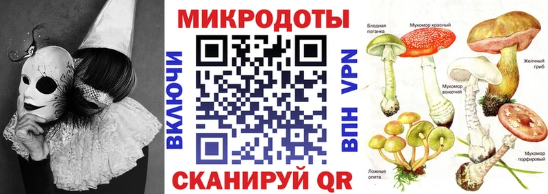 Псилоцибиновые грибы Cubensis Улан-Удэ